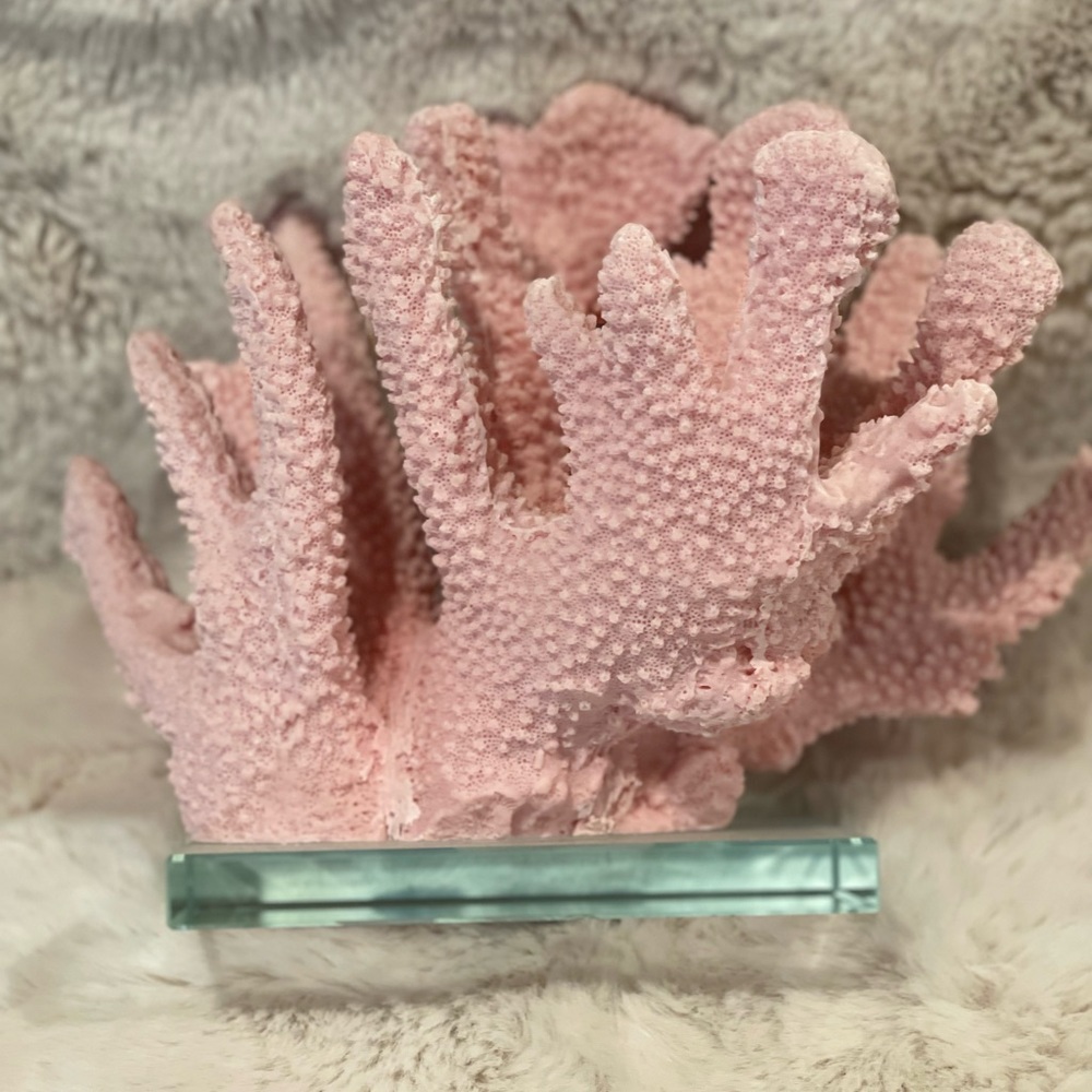 Pink coral decoration piece